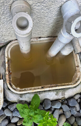 https://plumbermounthawthorn.com.au/uploads/2025/06/blocked-drains-912576.jpg